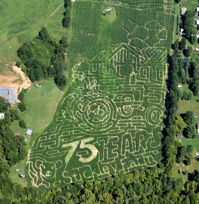 Stickley Farms Design 2014
