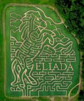 horse corn maze