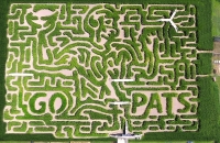 Patriots Corn Maze