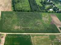 Detroit Tigers Corn Maze