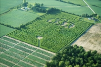 Zombie Corn Maze