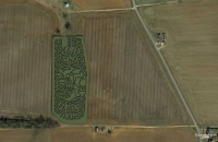 Save the Farm gps planted corn maze