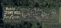 Kohl's corn Maze