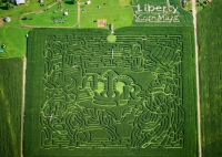 Liberty bull corn maze