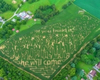 if you build it baseball corn maze
