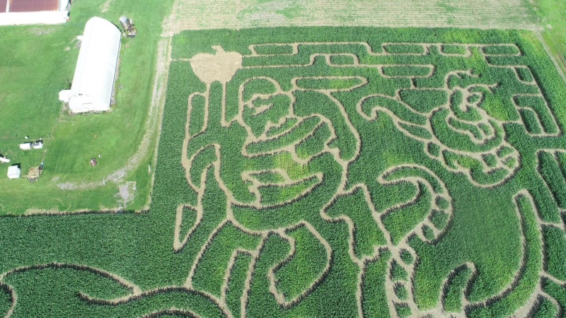 Mystical Corn Maze
