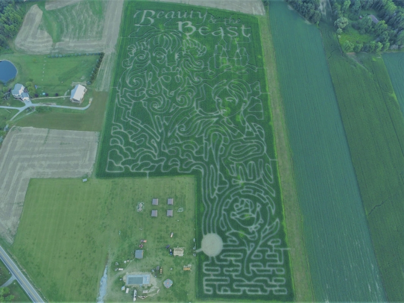 Maze Craze Maze Design 2017