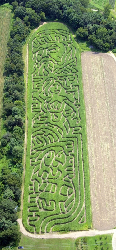 Pirate Corn Maze