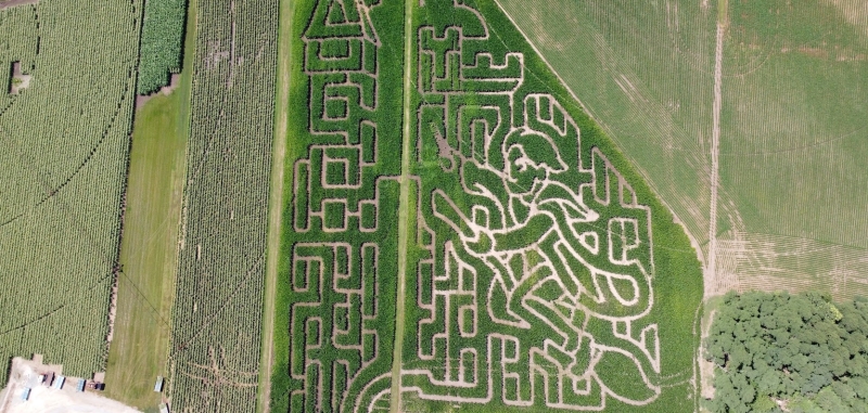 harry potter corn maze