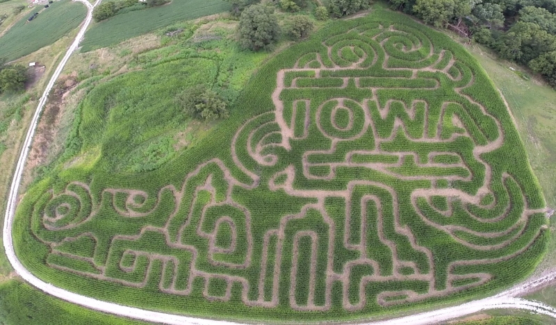 north river adventures corn maze