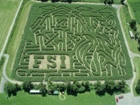 Farm Scene Investigation corn maze