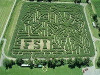 Farm Scene Investigation corn maze