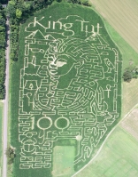 Egyptian Corn Maze