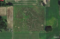 winnie the pooh corn maze