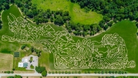 dino corn maze