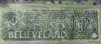 Beriswill corn maze