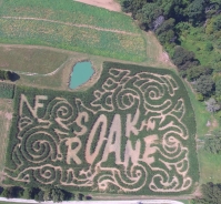 Narramore corn maze