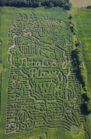 petals & plows Wisconsin corn maze