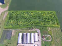 FSI Corn Maze 
