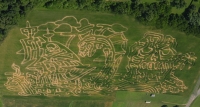 pirate bay corn maze