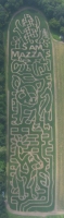 sam mazza's corn maze