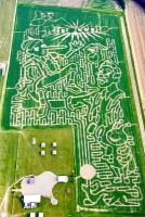 Pinocchio corn maze