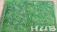 Sports corn maze