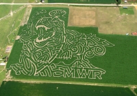 dinosaur Corn maze 
