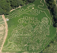 Mummy Corn maze