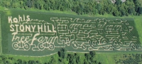 Kohl's corn Maze
