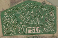 FSI Corn Maze 