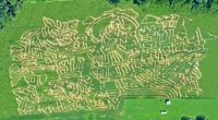 Alice in Wonderland Corn Maze