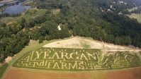 yeargan corn maze