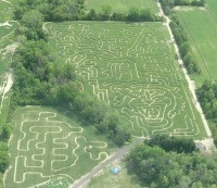 Scarecrow Corn Maze 