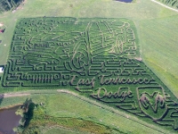 Truck Corn Maze 