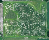 key west butterfly corn maze