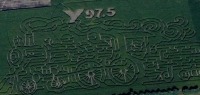 train corn maze 