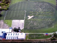 FSI Corn Maze 