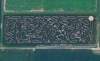 Beriswill corn maze