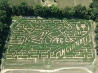 FC Cincinnati Corn Maze 