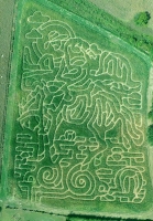 Cowboy Corn Maze 