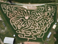 Butterfly Corn Maze 