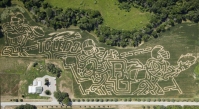 BG Toledo Corn Maze