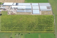 UFO Corn Maze 