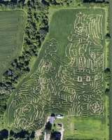 Pirate Corn Maze