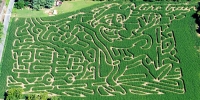 Mine Train Corn Maze