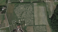 Alice in Wonderland Corn Maze