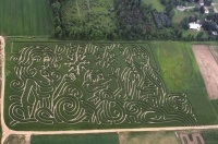 Winter Weather Debucks 2014 Corn Maze Snowman