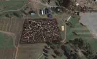 Scarecrow Corn Maze 