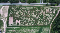 Michigan Corn Maze 